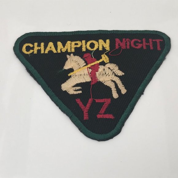 Iron On Patches Lot of 3 Champion Night Embroidery - Picture 7 of 8